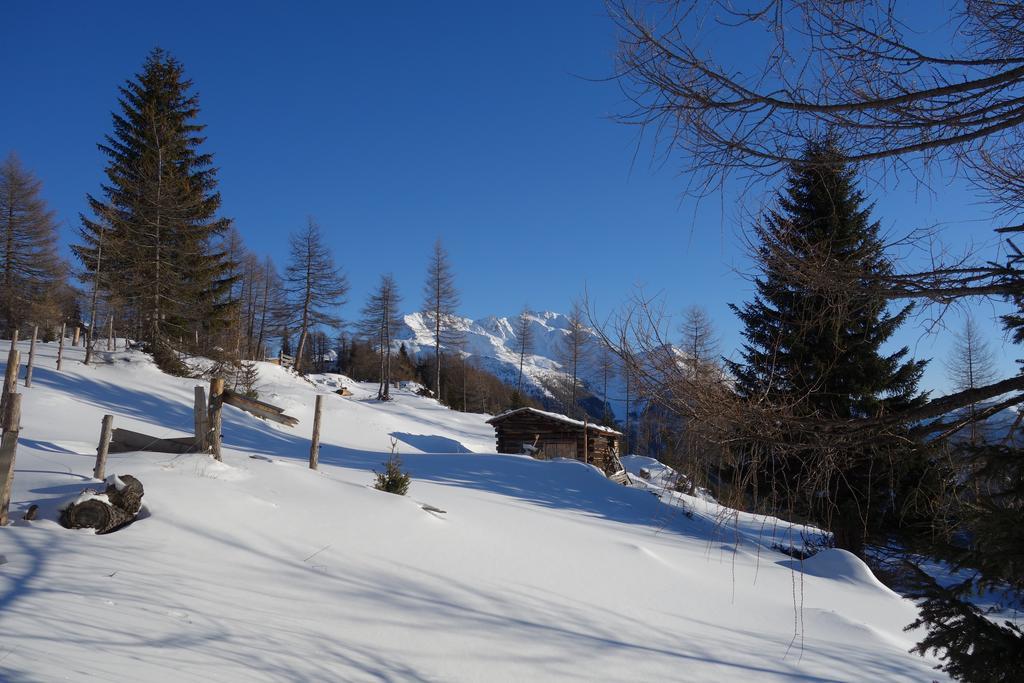 Wachtlerhof Lejlighed Matrei in Osttirol Eksteriør billede