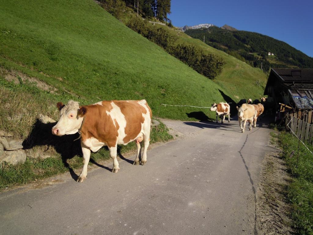 Wachtlerhof Lejlighed Matrei in Osttirol Eksteriør billede