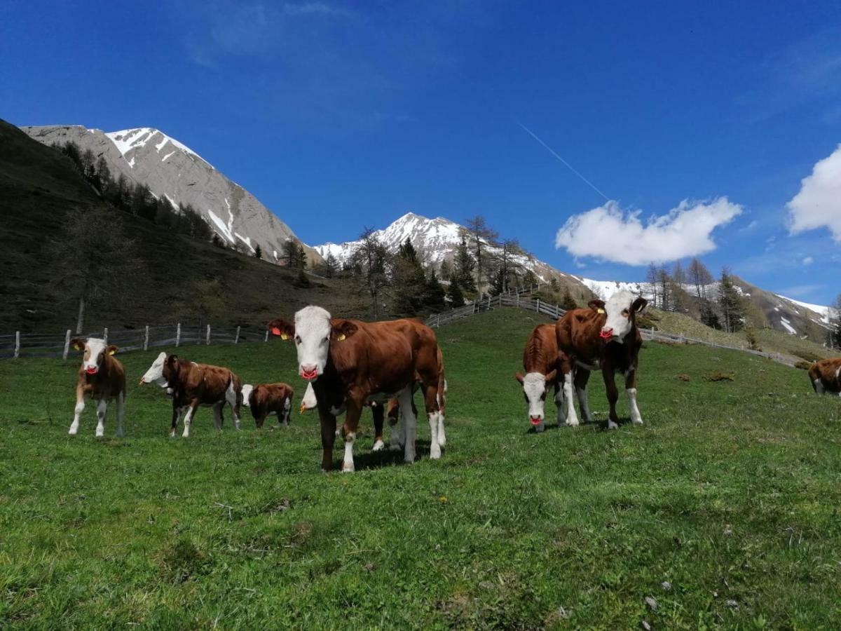 Wachtlerhof Lejlighed Matrei in Osttirol Eksteriør billede